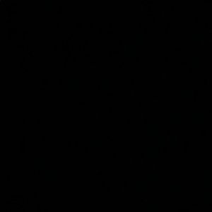 Meet your Posher, Allie